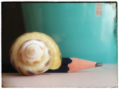 Snail